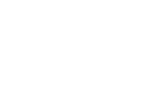OCSE logo of trees with title